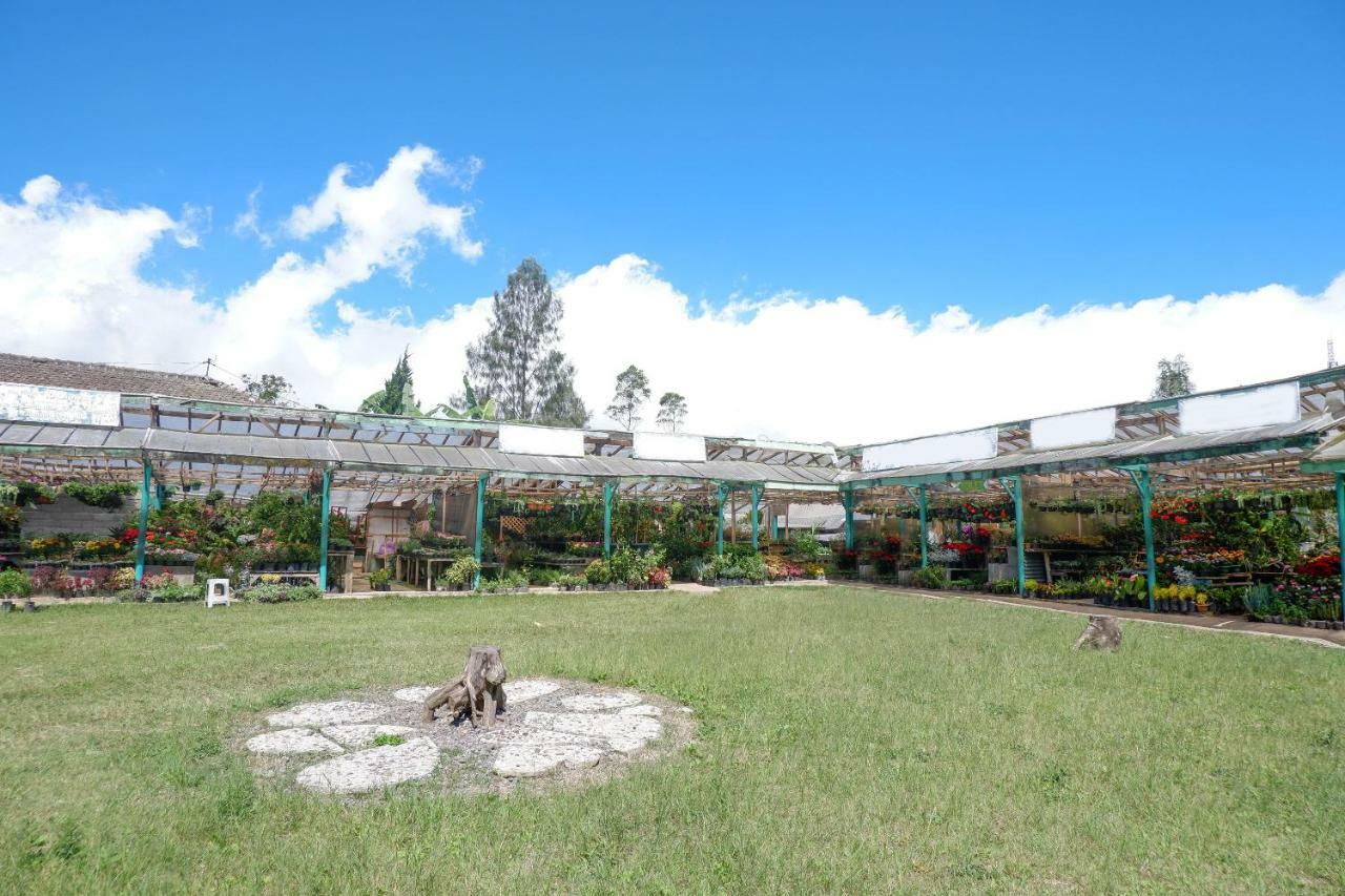 Oyo 908 Taman Wisata Kopeng Hotel
