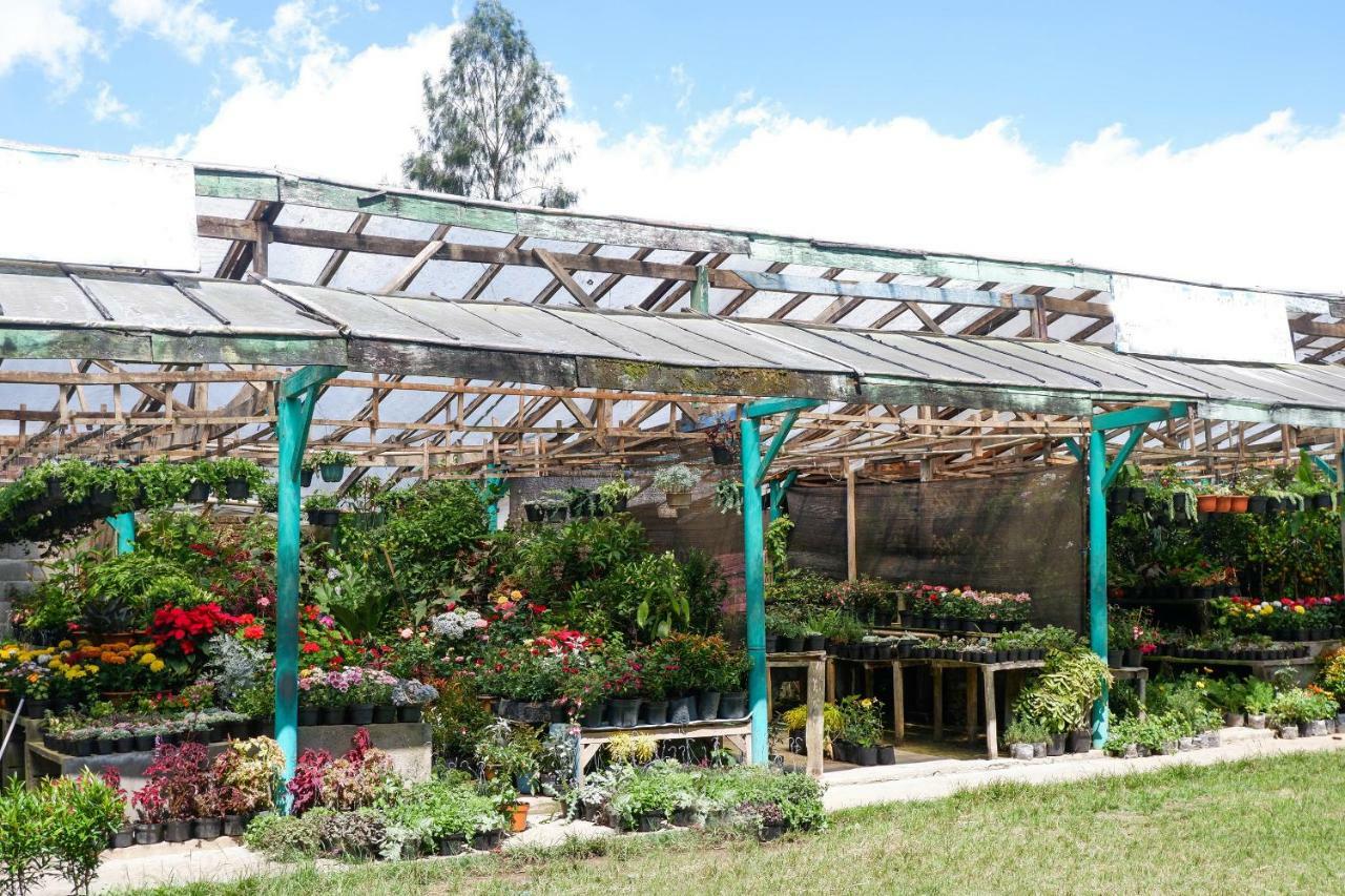 Oyo 908 Taman Wisata Kopeng